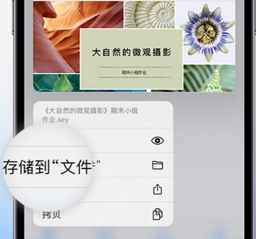 仙游apple维修中心分享iPhone文件应用中存储和找到下载文件