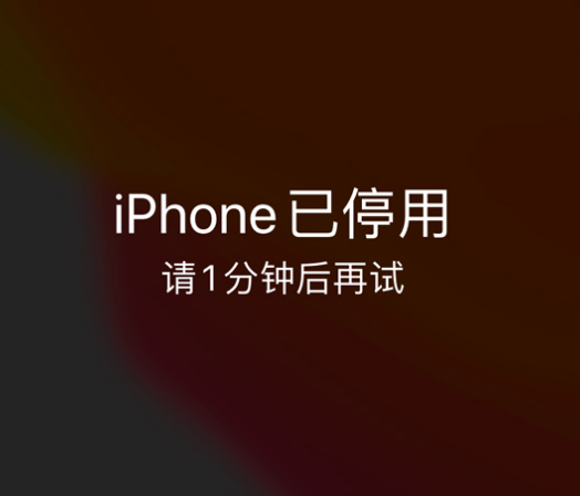 仙游苹果手机维修分享:iPhone 显示“不可用”或“已停用”怎么办？还能保留数据吗？ 