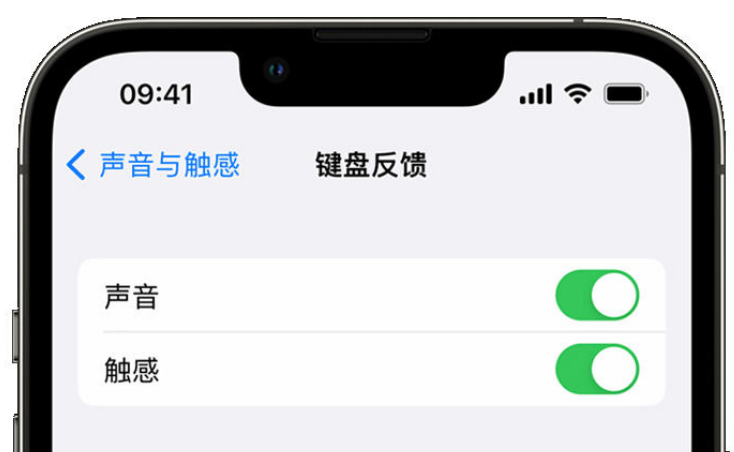 仙游苹果手机维修分享iPhone 14触感键盘使用方法 