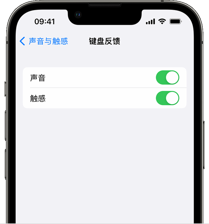 仙游苹果14维修店分享如何在 iPhone 14 机型中使用触感键盘 