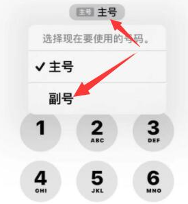 仙游苹果14维修店分享iPhone 14 Pro Max使用副卡打电话的方法 