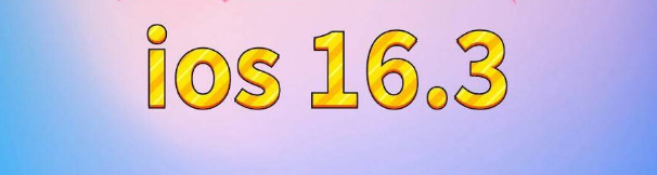 仙游苹果服务网点分享苹果iOS16.3升级反馈汇总 