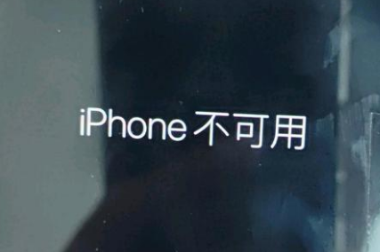 仙游苹果服务网点分享锁屏界面显示“iPhone 不可用”如何解决 