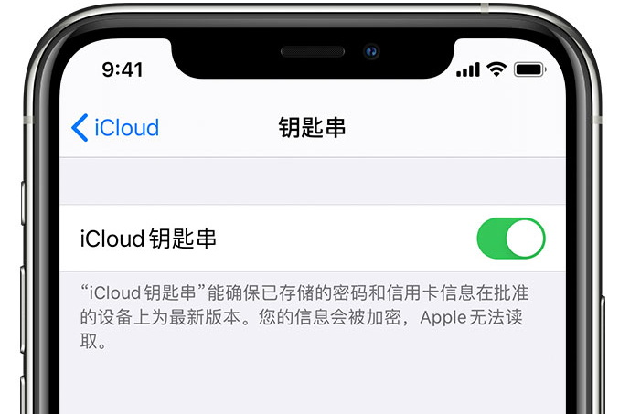 仙游苹果手机维修分享在 iPhone 上开启 iCloud 钥匙串之后会储存哪些信息 