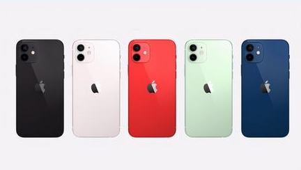 仙游苹果维修点分享iPhone 12锁屏密码系统机制科普 