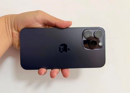 仙游苹果维修点分享iPhone 14 Pro Max黑屏少见故障盘点 
